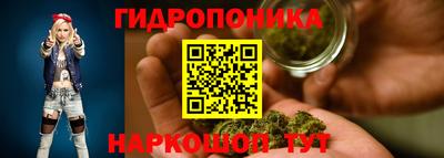 шишки Анжеро-Судженск