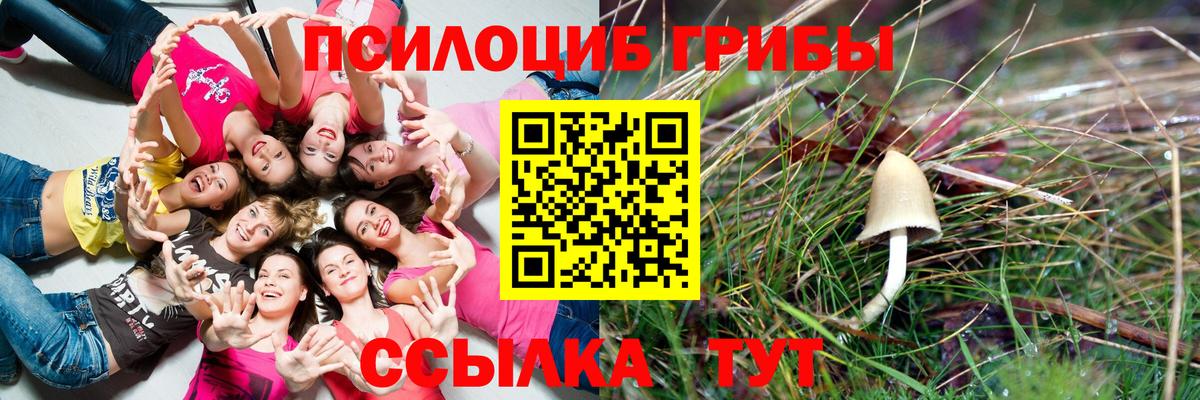 Белово  Псилоцибиновые грибы ЛСД  Вход с VPN 